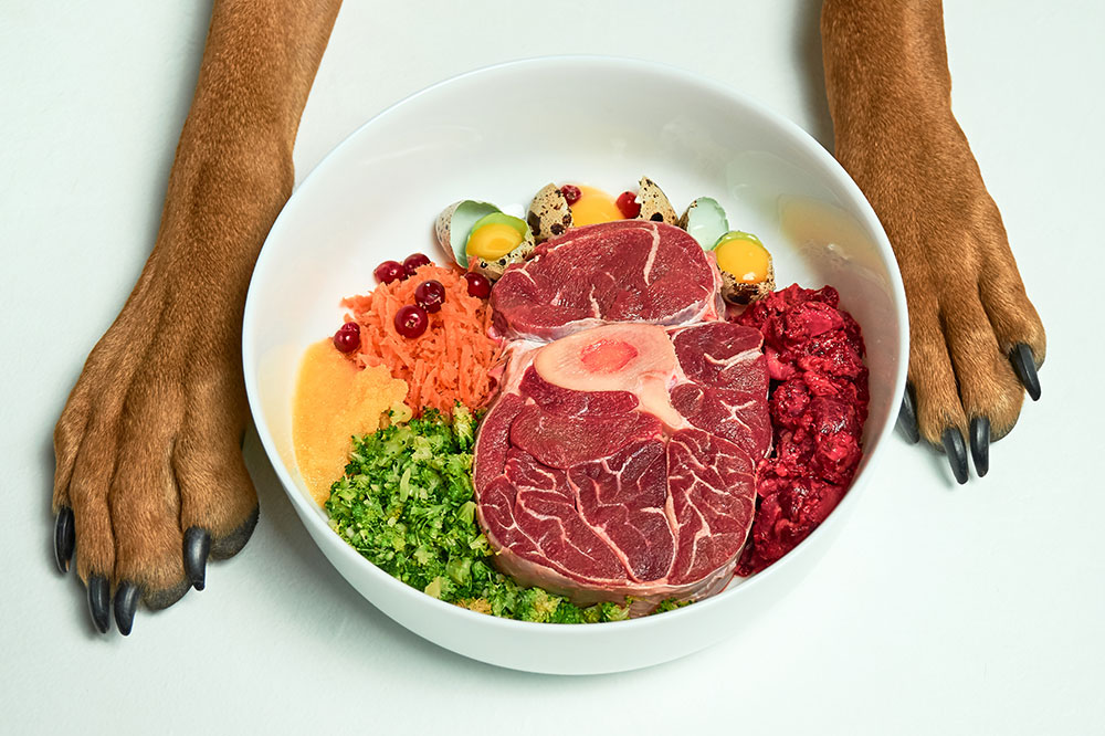 5 Ingredients That Must Not Be Given to Pets